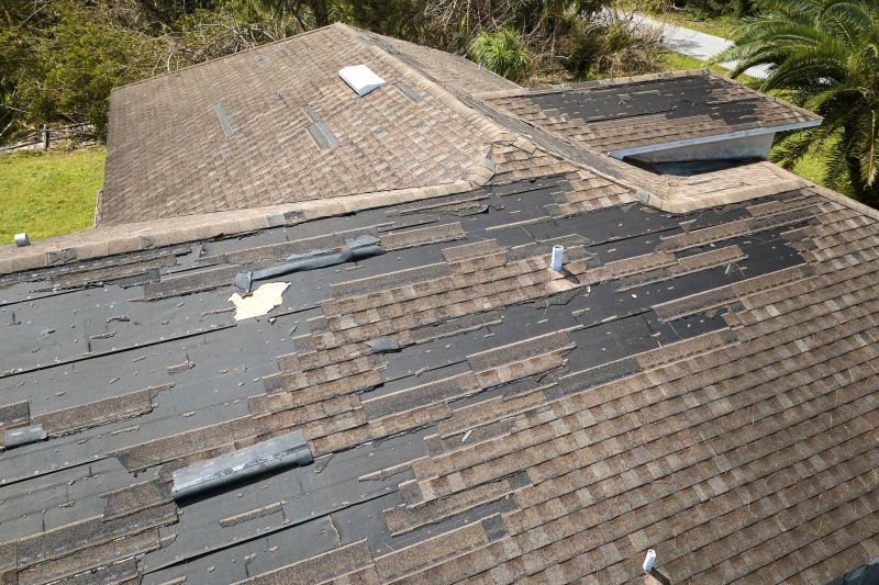 Hail Damage Roof Repair detail